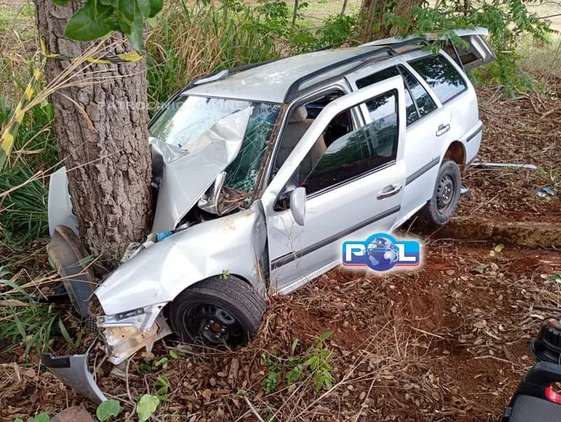 Carro bate contra árvores na MG-181, e criança é arremessada contra banco do motorista e morre