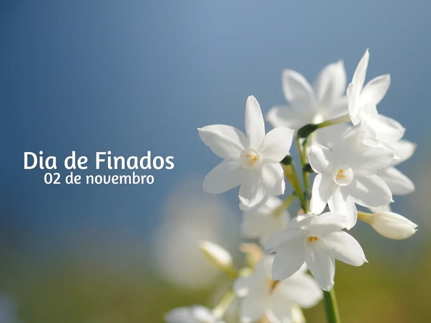 Confira os horários das missas de Finados em todas as paróquias de Patrocínio