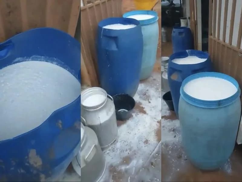 Produtor de leite perde 800 litros após falta de energia e cobra providências da Cemig em Patrocínio