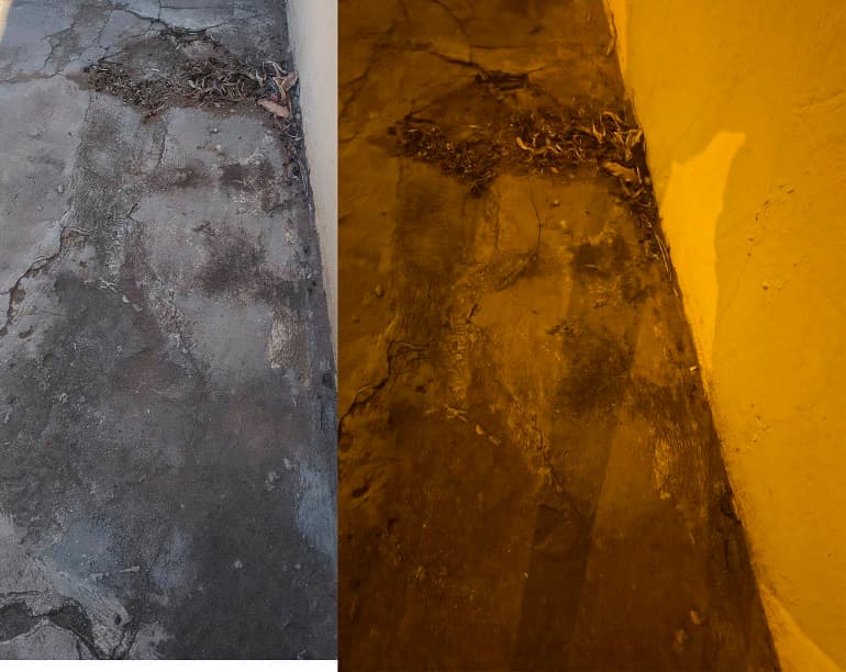 Moradora identifica imagem do rosto de Jesus em calçada no interior de SP, e caso repercute nas redes sociais