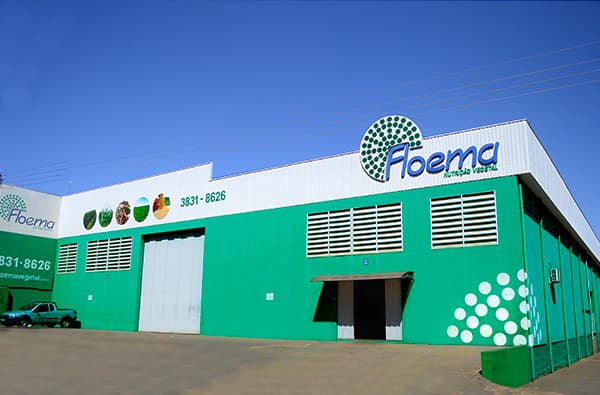 Vaga de Emprego Floema: Auxiliar de Produção