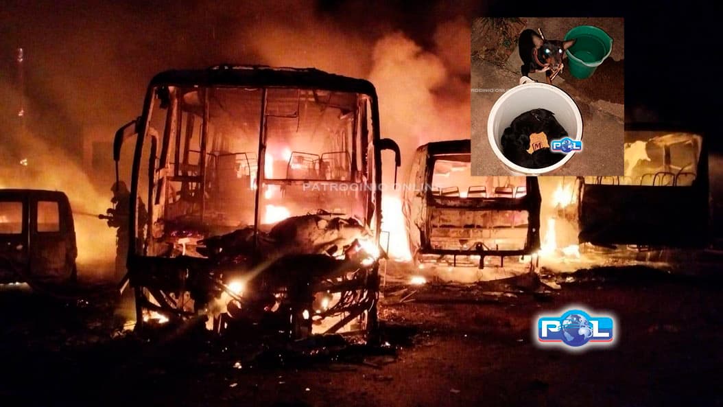 VÍDEO: Incêndio atinge e destrói ambulância, ônibus, dois micro-ônibus e caminhão-pipa e ameaça cachorros em garagem de serviço automotivo