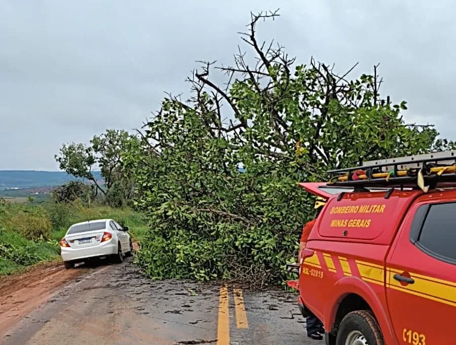 Árvore cai durante chuva na MG-188, entre Patrocínio e Coromandel e um galho na MG 230