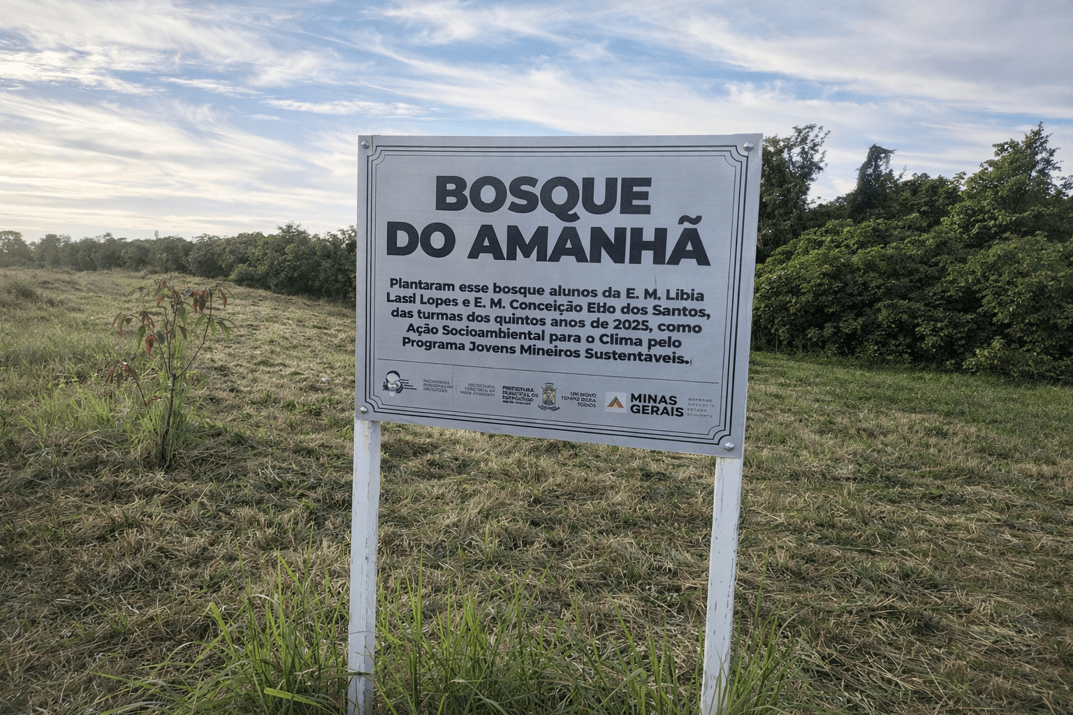 Mais do que PLANTAR, Patrocínio precisa aprender a CUIDAR...