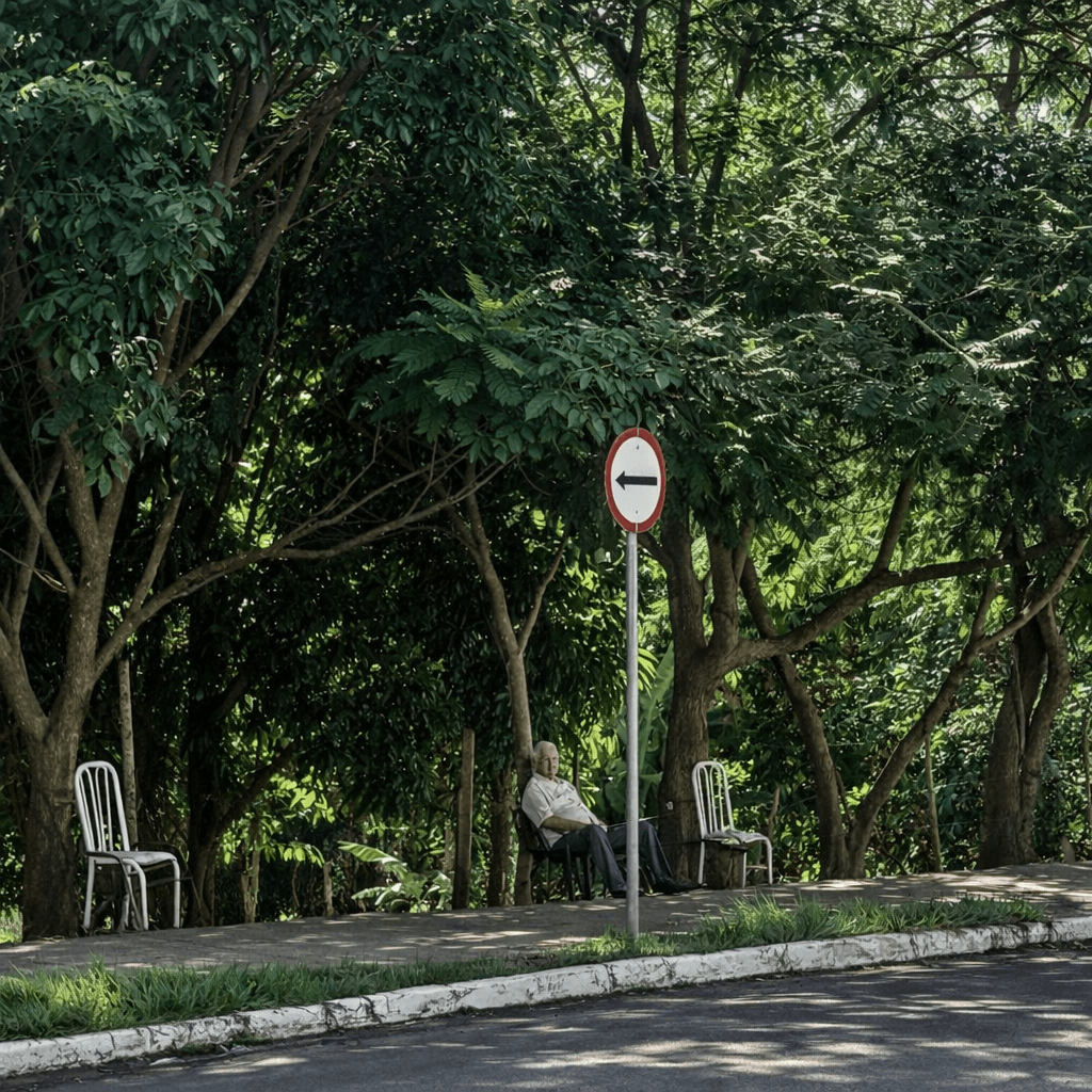 O Sagrado Direito de Descansar Sob o que se Plantou...