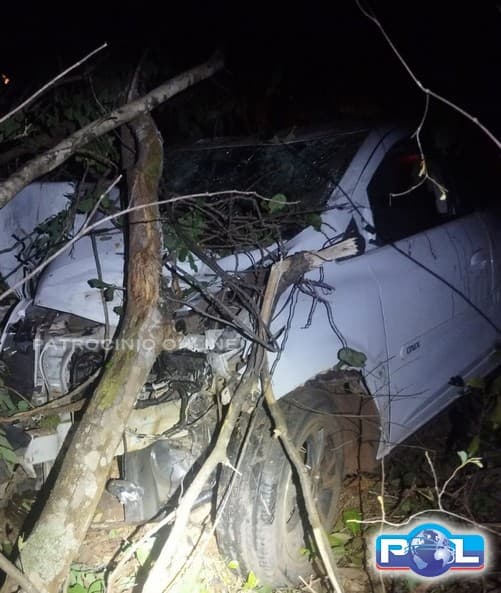 Carro sai da pista após motorista dormir ao volante e bate em árvore na MGC-251