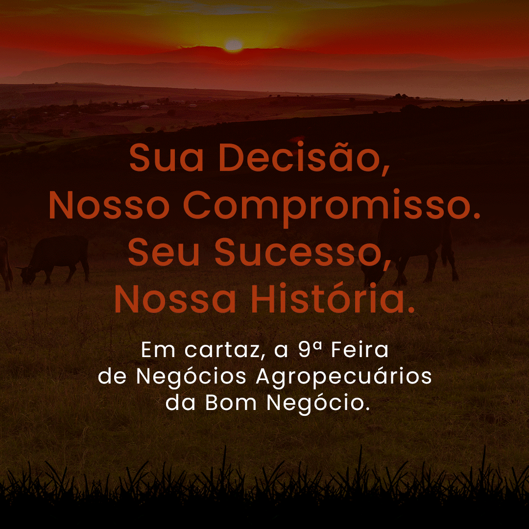 Bom Negócio
