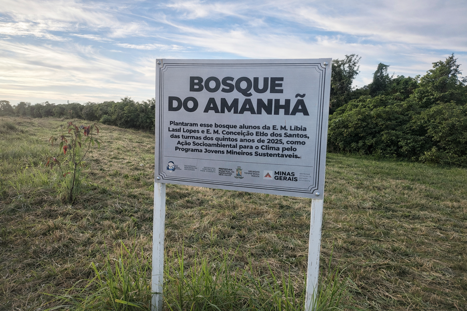 Mais do que PLANTAR, Patrocínio precisa aprender a CUIDAR...