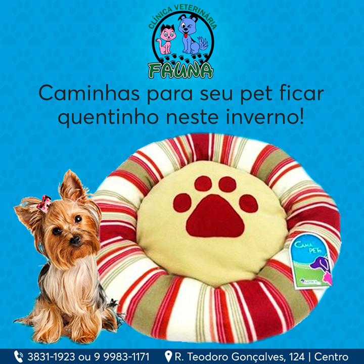 A imagem pode conter: texto